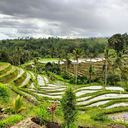 Magical Breeze Cabin Angsri ภายนอก รูปภาพ